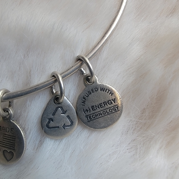 *LAST CHANCE* Alex and Ani Initial N Charm Bangle Bracelet Silver - Picture 3 of 4